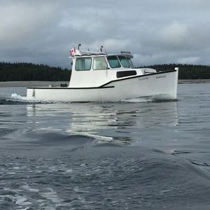 Meet your Posher, Brian